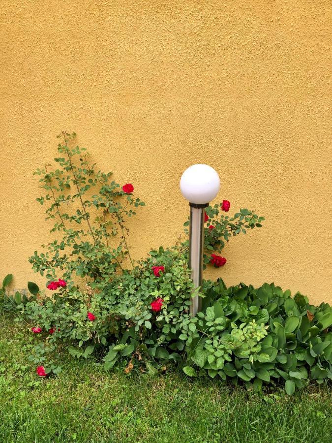 Nice&Cozy Apartament Sighişoara Dış mekan fotoğraf