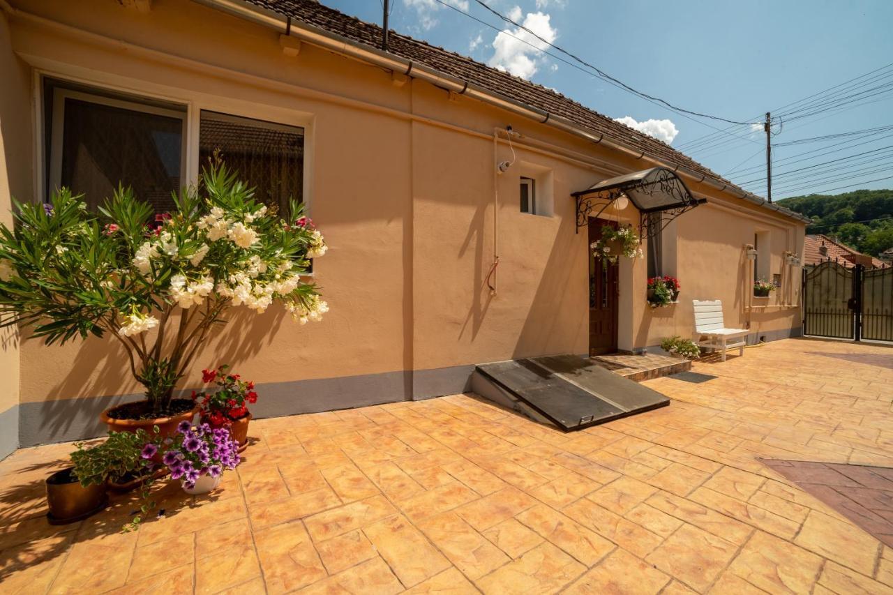 Nice&Cozy Apartament Sighişoara Dış mekan fotoğraf